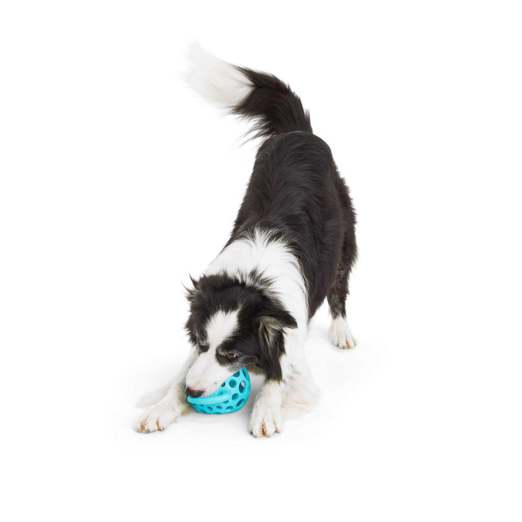 Cage Ball with Handle Dog Toy T640355