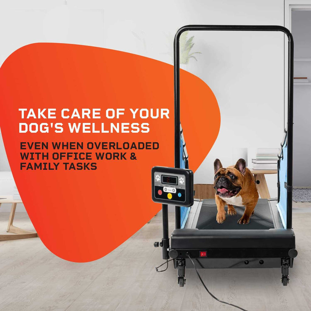 Dog Treadmill T3867
