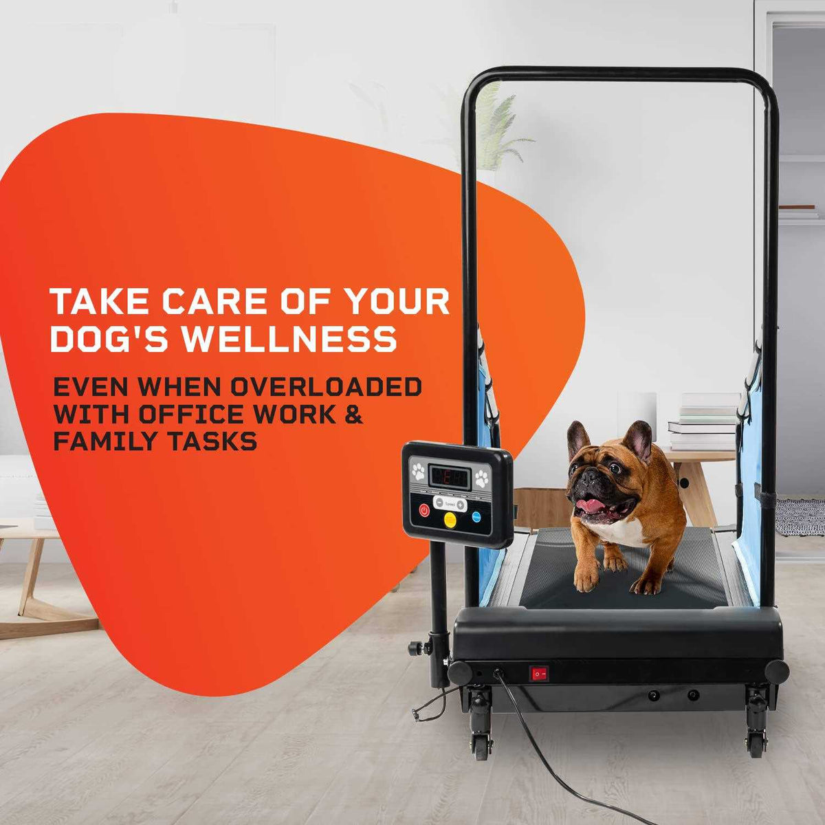 Dog Treadmill T3867