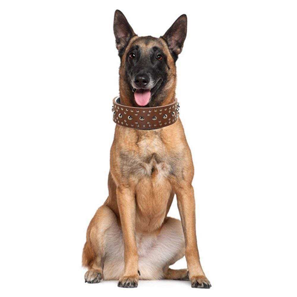 Leather Spiked Studded Dog Collar M14652