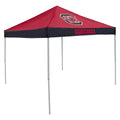 Economy Tailgate Canopy Tent Z608