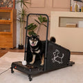 Dog Treadmill with Remote Control N821