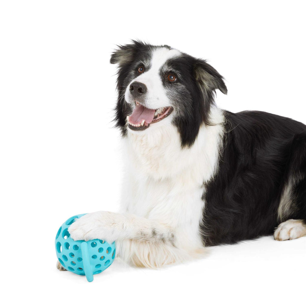 Cage Ball with Handle Dog Toy T640355