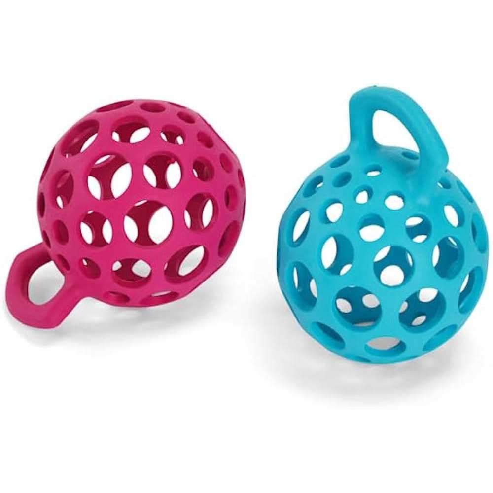 Cage Ball with Handle Dog Toy T640355