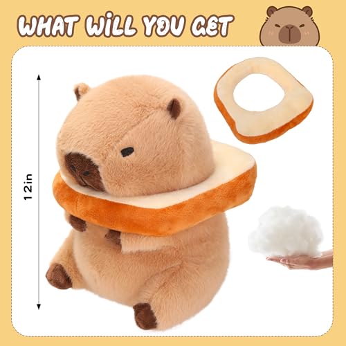 Capybara Plush with 10 Pcs Clothes & Accessories N399