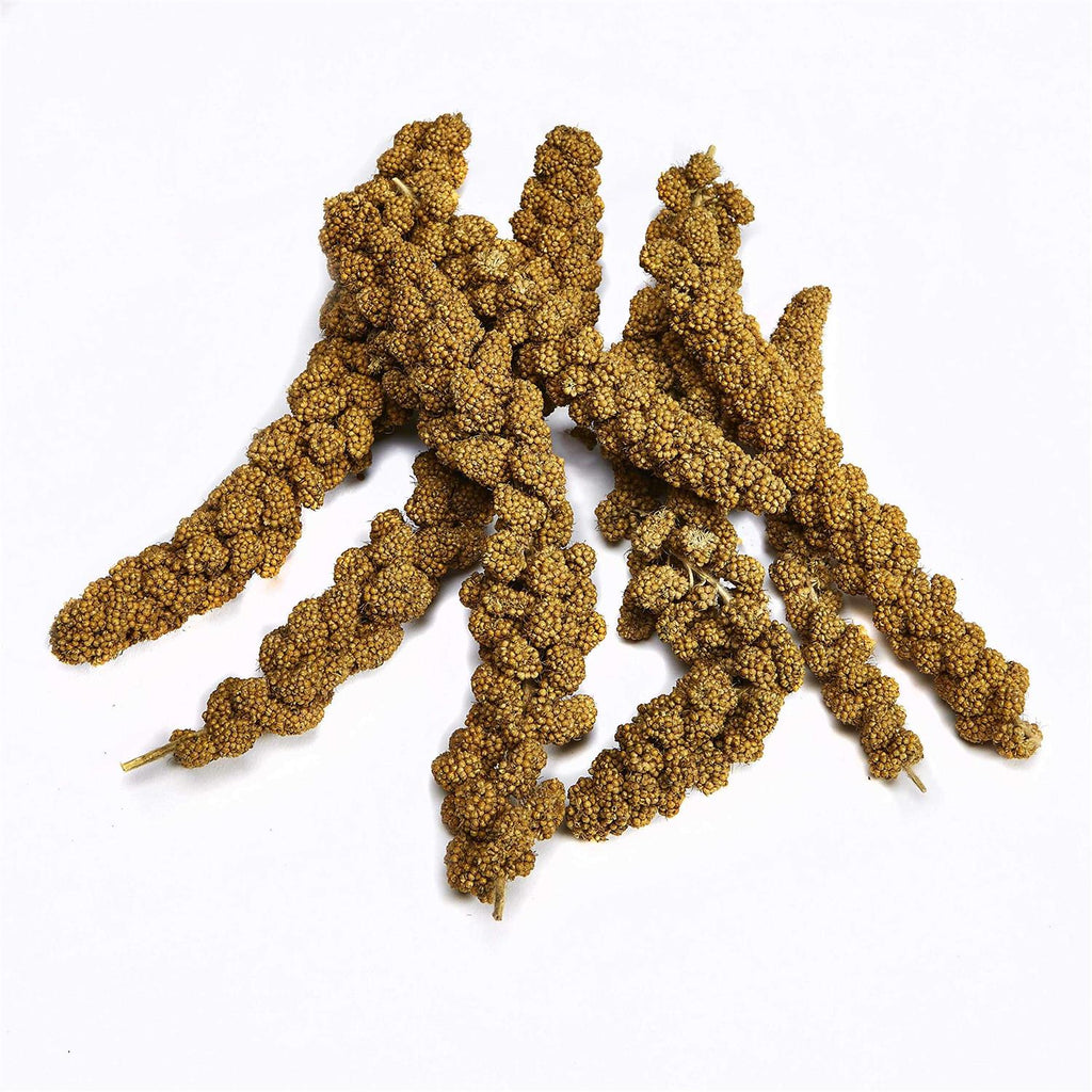 Spray Millet X94353