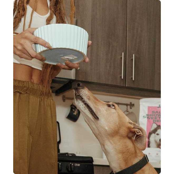 Freeze Dried Salmon Dog Food Topper W46125