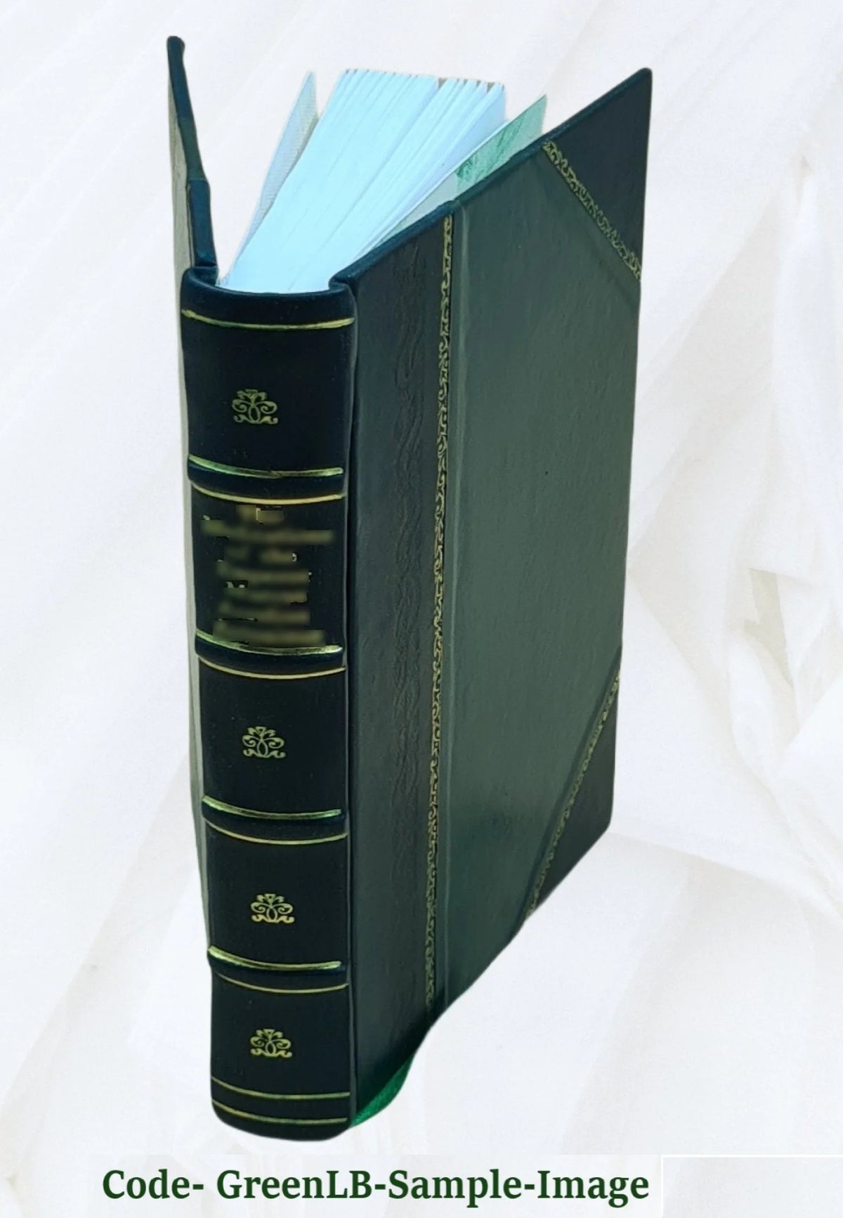 Leather Bound T20428