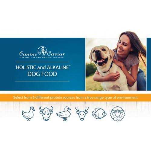 Grain-Free Dry Dog Food P323556