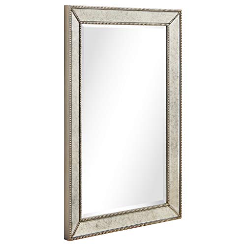 1"-Beveled Center Antique Mirror, Solid Wood Frame, 24" x 54", Champagne Y301690