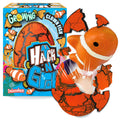 Hatching Eggs with Growing Fish Toy L7057