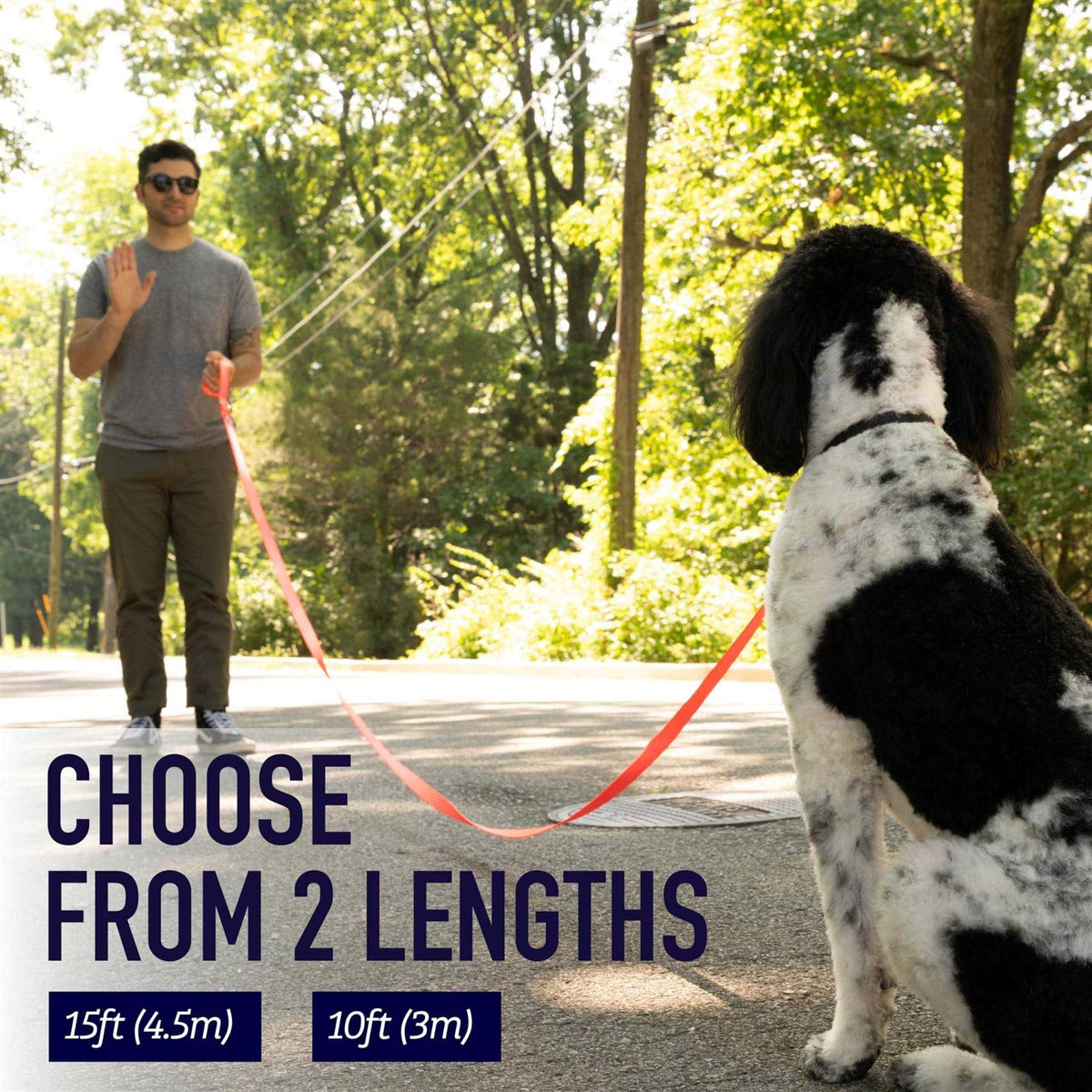 10 Foot Dog Leash with Padded Handle E834918