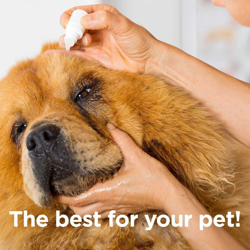 Eye Drops for Pets H69908
