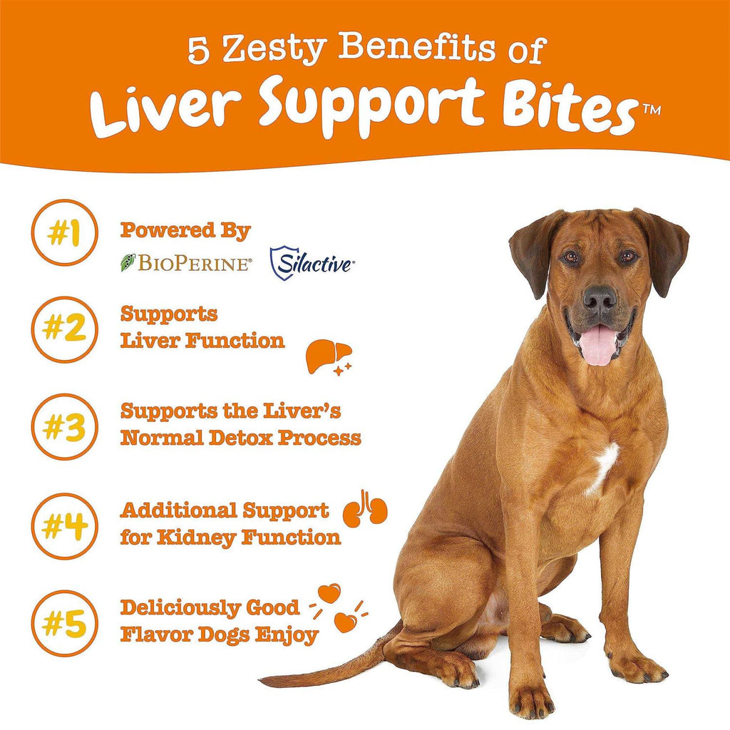 Liver Support Bites for Dogs T483732