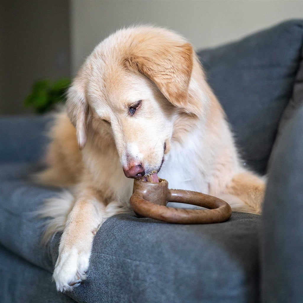Durable Chew Toy for Aggressive Chewers G15992
