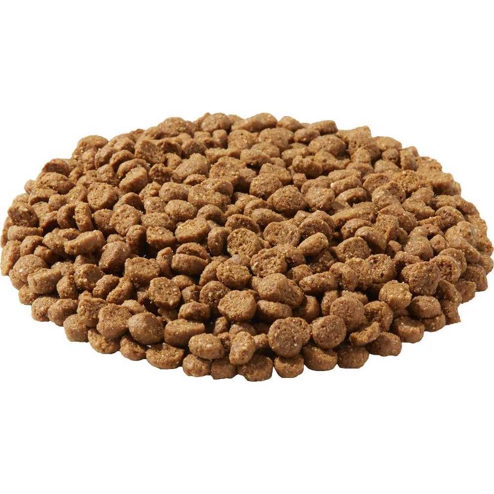 Dry Dog Food T58073