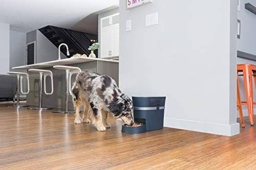 Automatic Dog and Cat Feeder G666