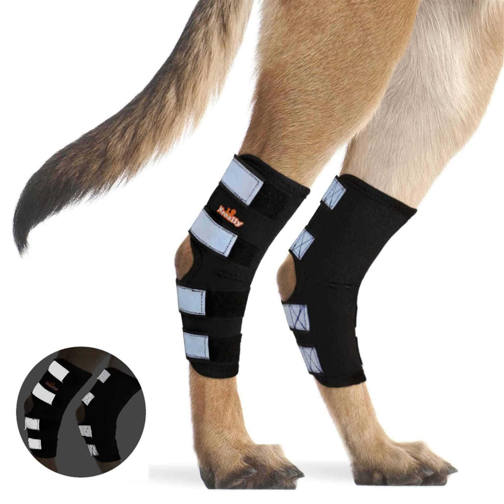 Dog Hind Leg Brace with Reflective Straps Q824728