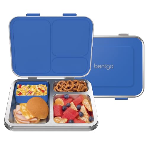 Stainless Steel Leak-Resistant Lunch Box, 3-Compartments with Silicone Container, Dishwasher Safe, BPA-Free (Fuchsia) Z593
