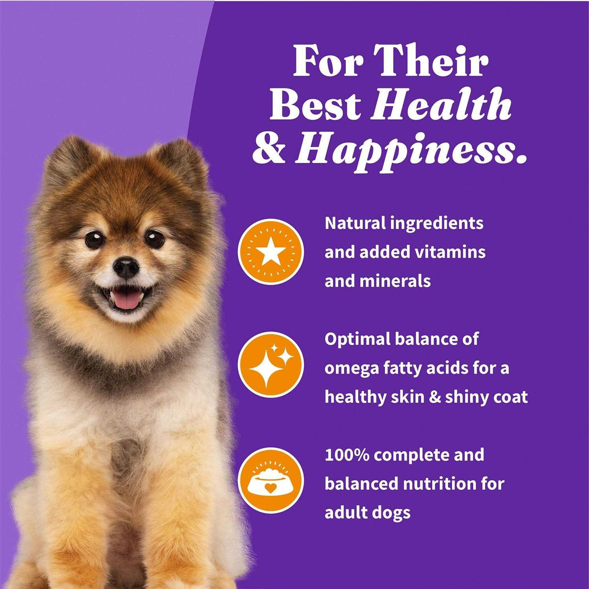 Red Meat Recipe Dry Dog Food Y712396