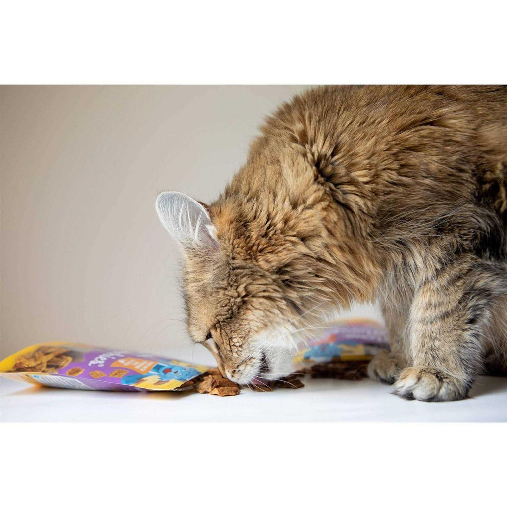 Cat Treats J341