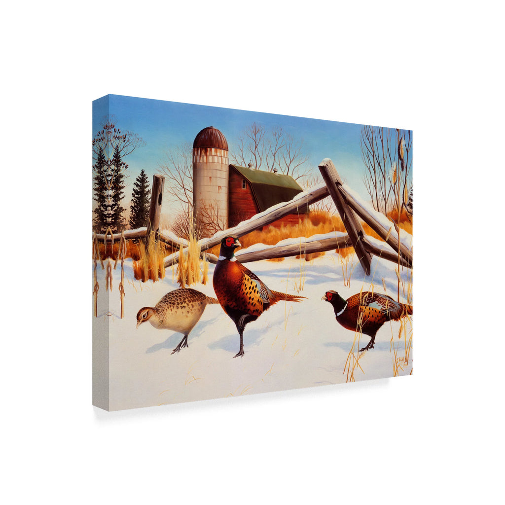 Canvas Art by Leo Stans O674