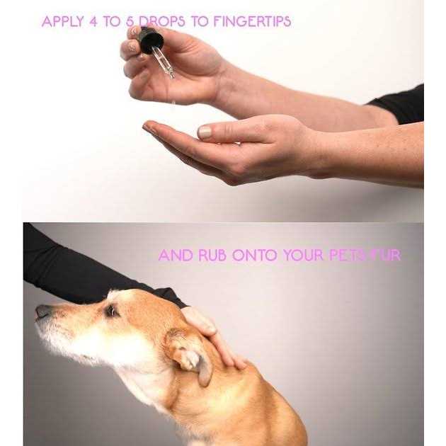 Essential Oil Joint Relief for Dogs X15670