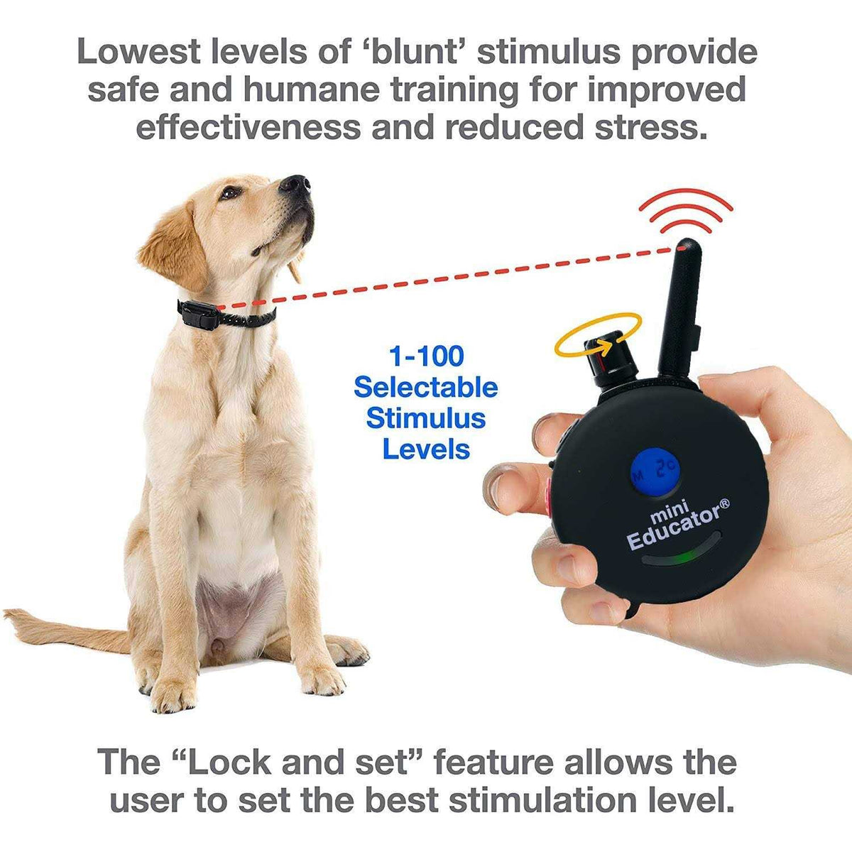 Dog Training Collar System with Remote V710