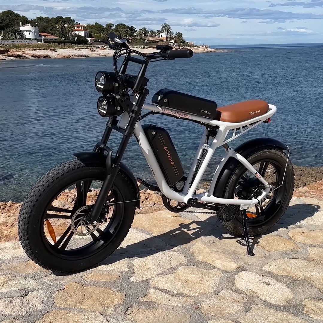 750W 20" Fat Tire Electric Bike with 48V/26Ah Battery E854