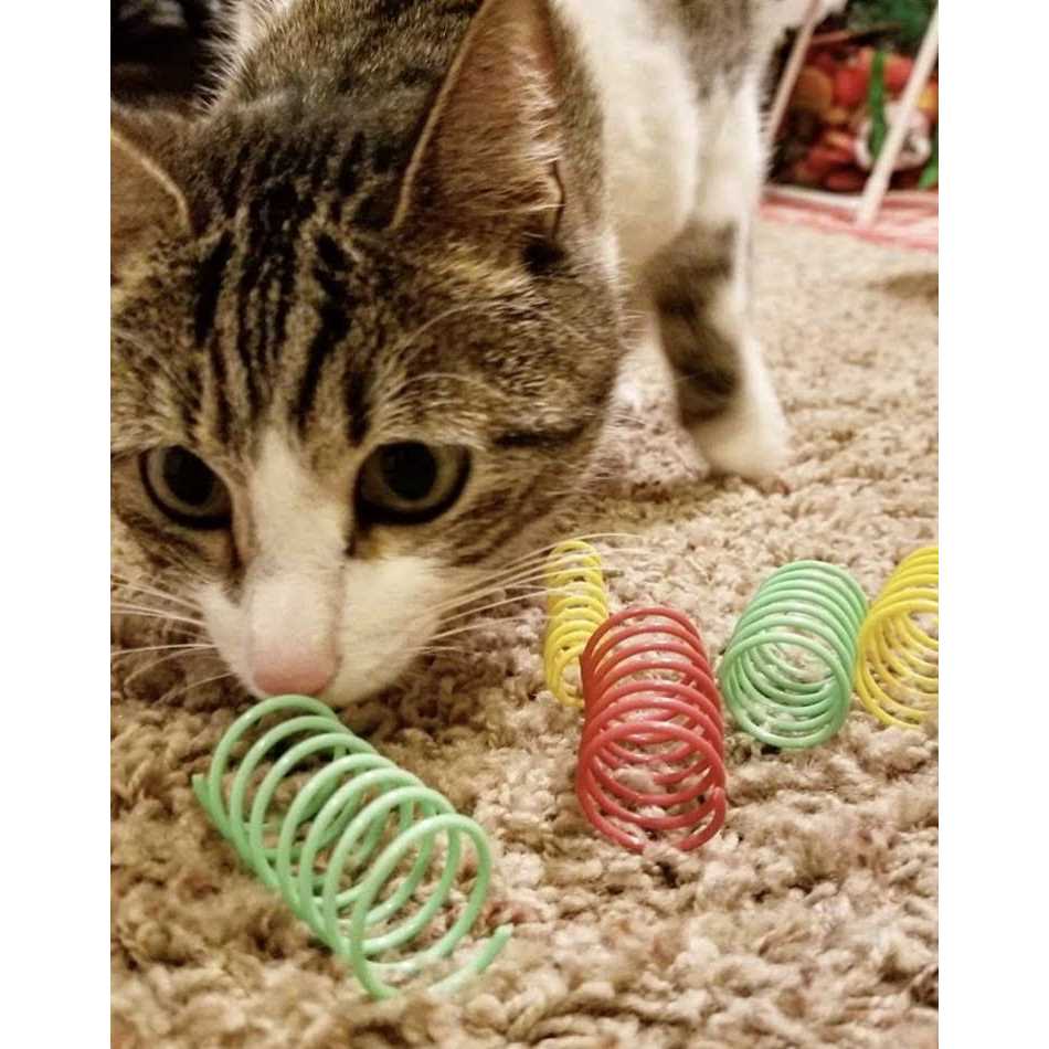 Colorful Springs Cat Toy E54226