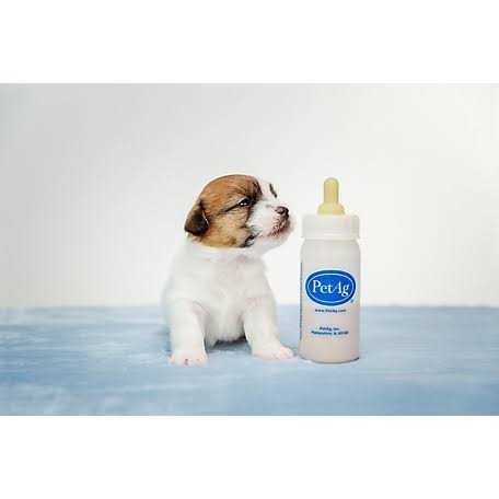 Puppy Liquid Milk Replacement O45151