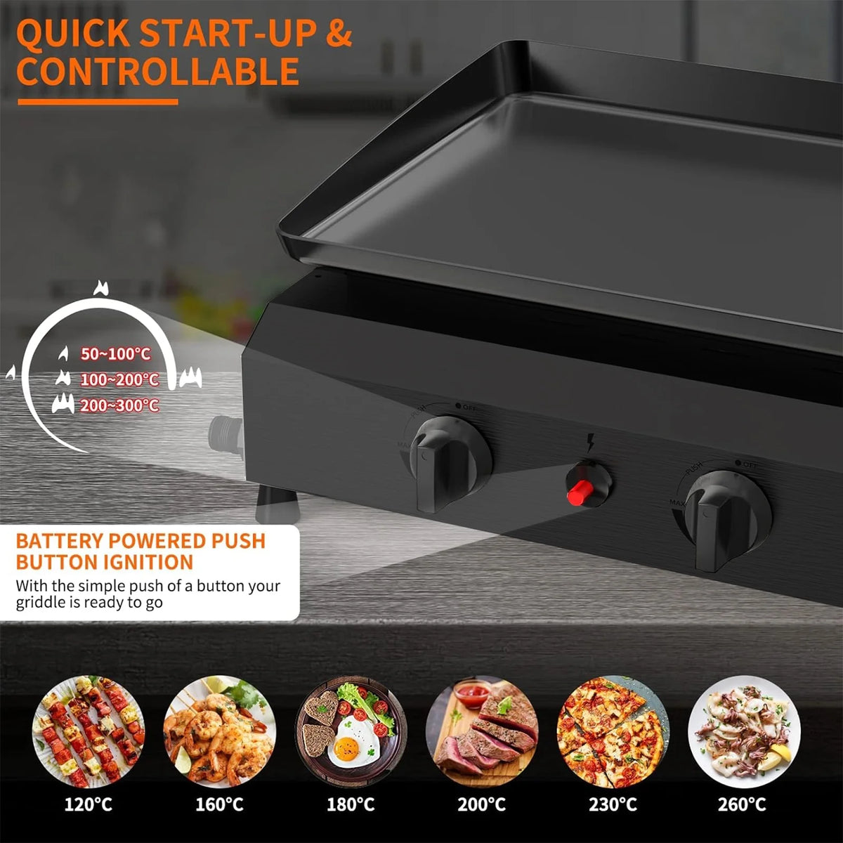 4-Burner Propane Gas BBQ Grill Cooking Station A4334