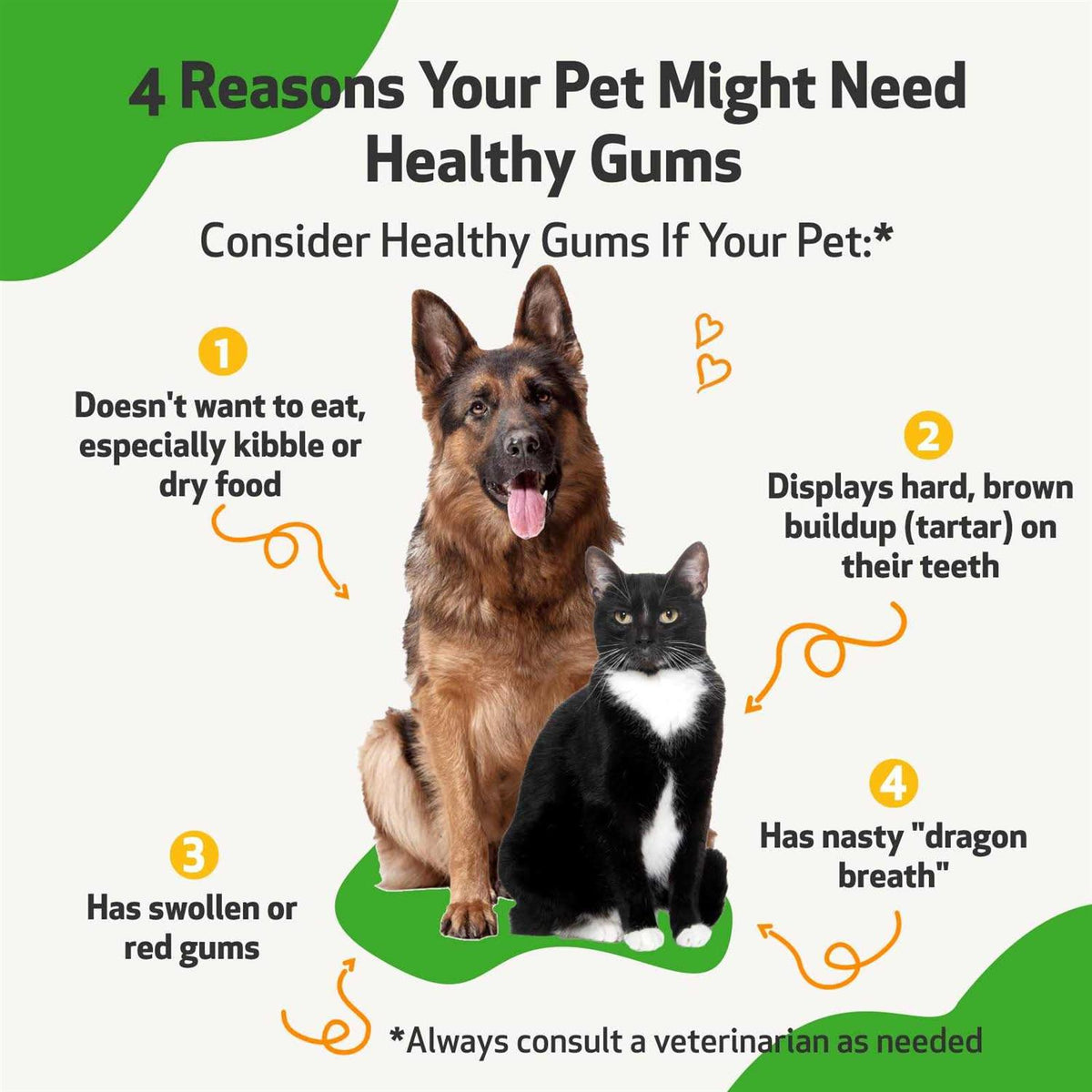 Healthy Gums for Feline Periodontal Health N58011
