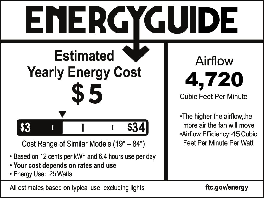 20-inch Caged Ceiling Fan with Light F54716