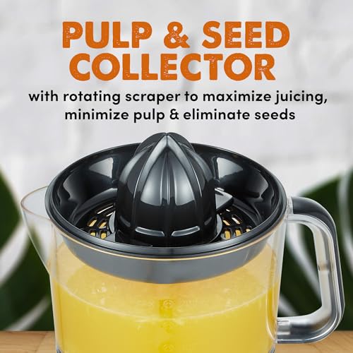 BPA-Free Electric Citrus Juicer 24oz Black/Stainless Steel E69088