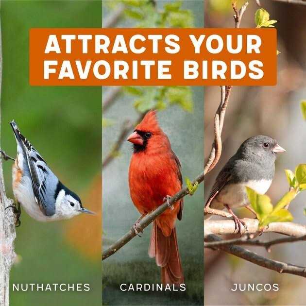 Hot Pepper Blend Bird Food W278