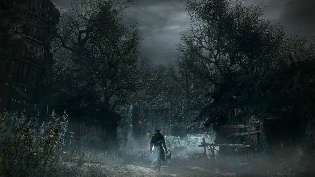 Bloodborne PS4 Game W648
