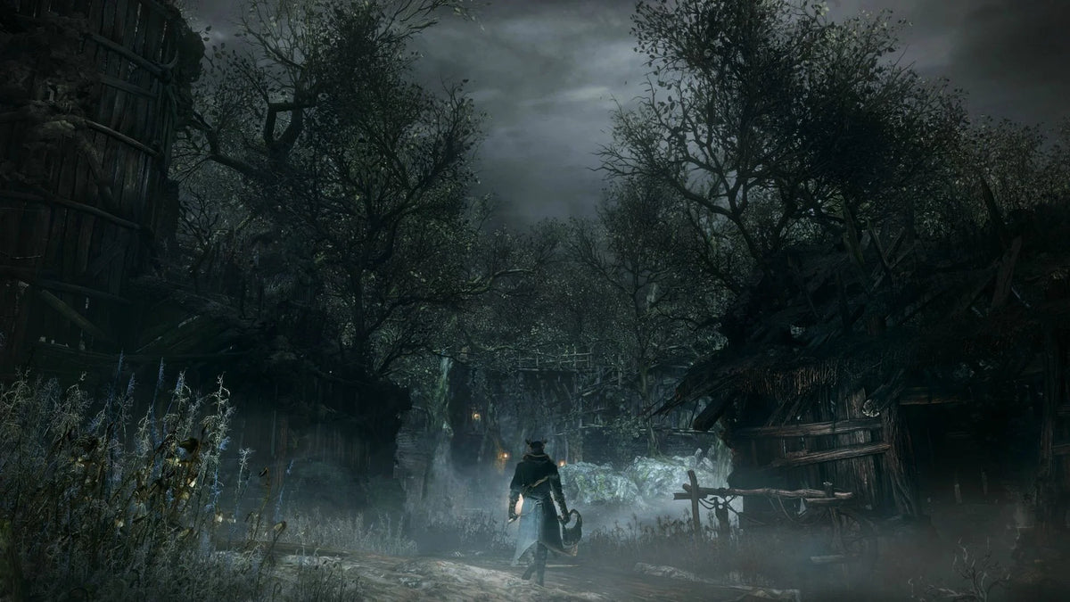 Bloodborne PS4 Game W648