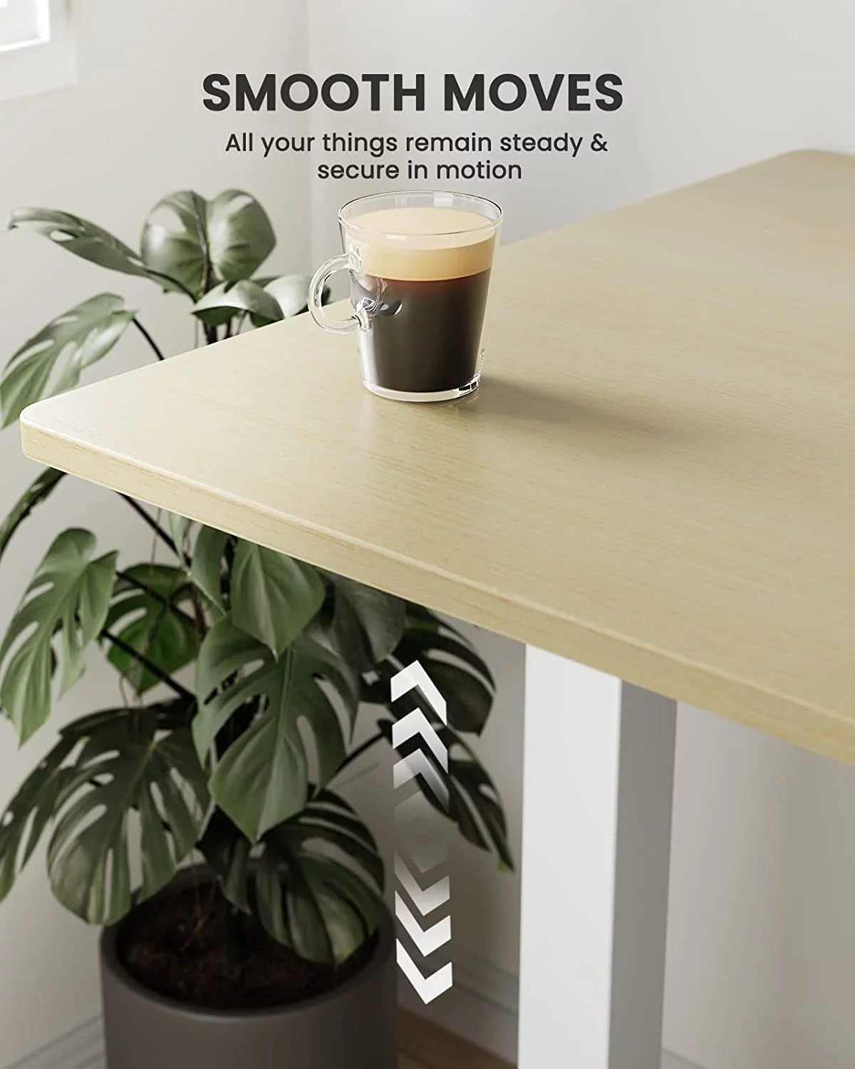 Electric Standing Desk 48" x 24" Height Adjustable T145