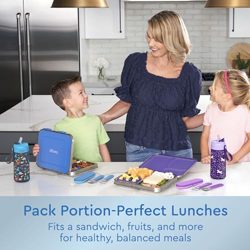 Stainless Steel Leak-Resistant Lunch Box, 3-Compartments with Silicone Container, Dishwasher Safe, BPA-Free (Fuchsia) Z593