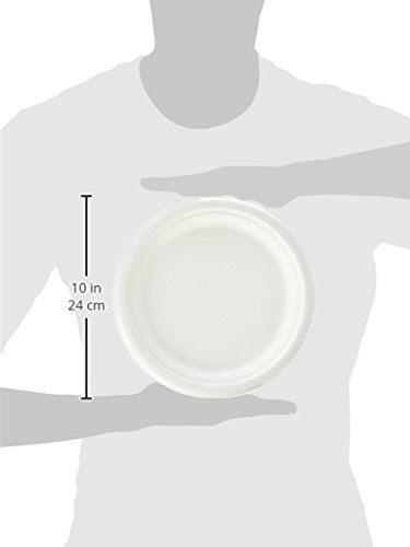500-Count 9-Inch Compostable Sugar Cane Fiber Plate T4936