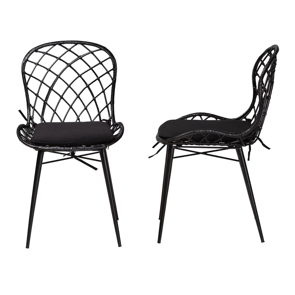Black Rattan and Metal 2-Piece Dining Chair Set P313155