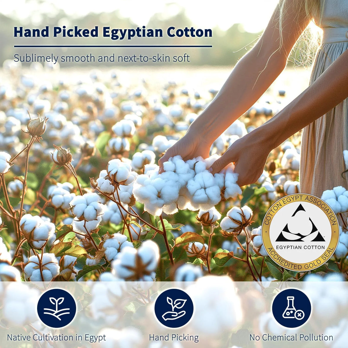 King Size 4-Piece 100% Egyptian Cotton Sheets Set W128710