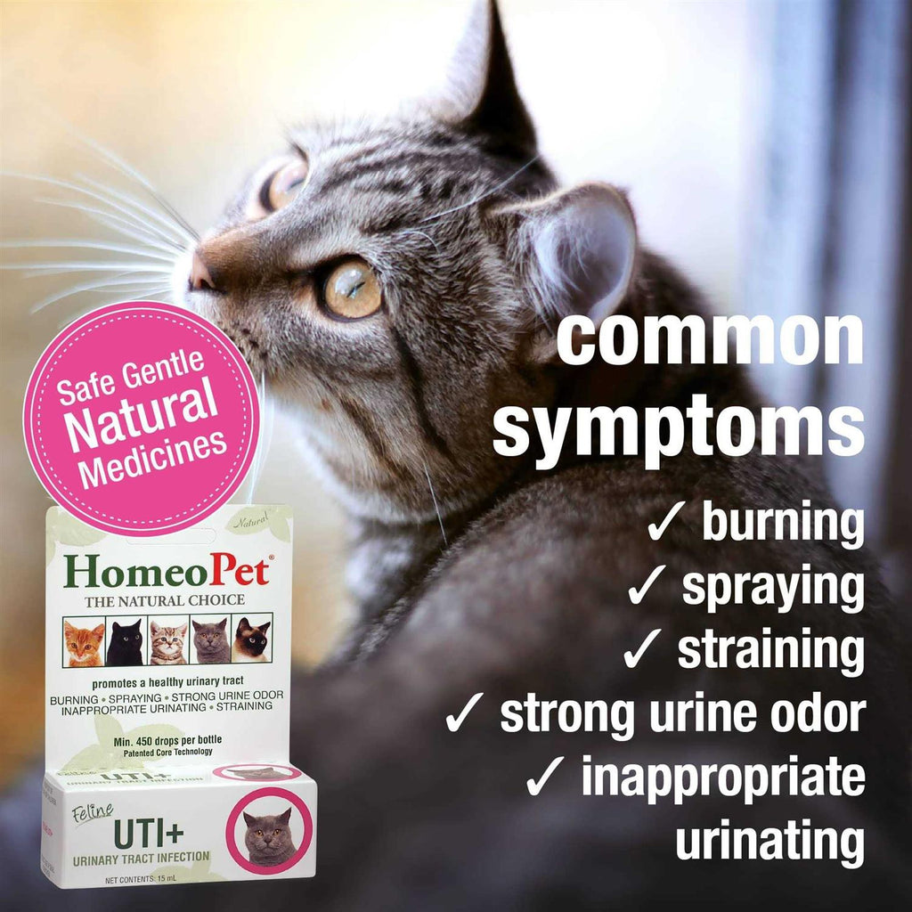 Feline UTI+ Pet Supplies T46253