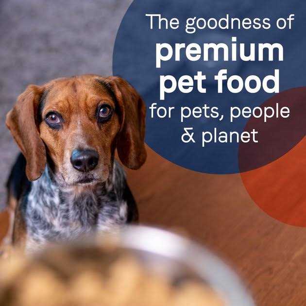 Grain-Free Salmon & Sweet Potato Canned Dog Food U179011