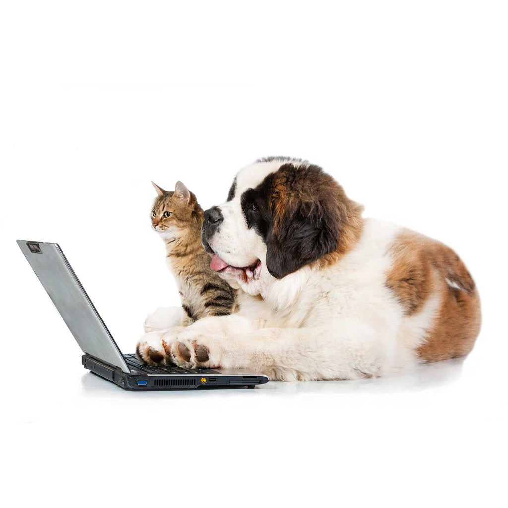 Eye Drops for Pets H69908