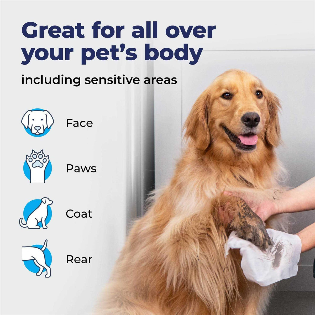 Pet Wipes S2059