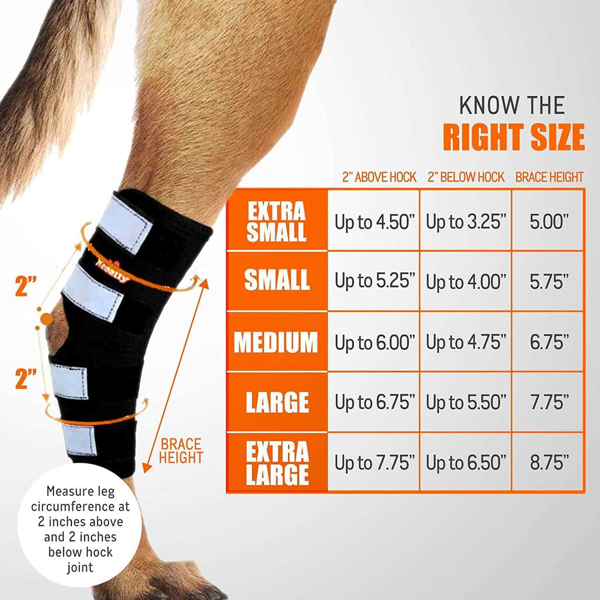 Dog Hind Leg Brace with Reflective Straps Q824728