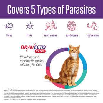 Topical Solution for Cats R194