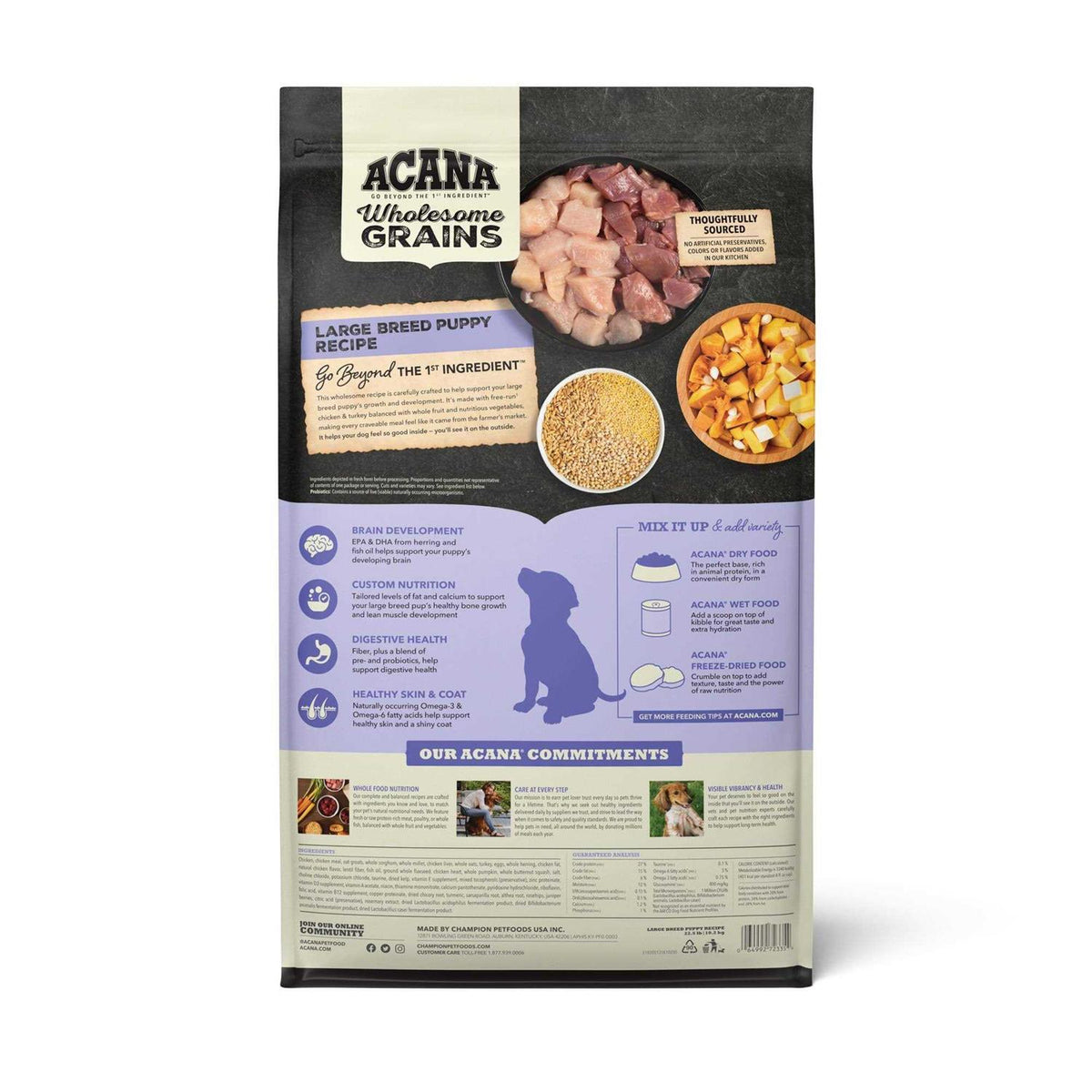 Acana Wholesome Grains Puppy Recipe Dry Dog Food Z10472